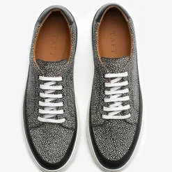 The Fifth Ave Sneaker In Stone Pebbled Leather | Taft